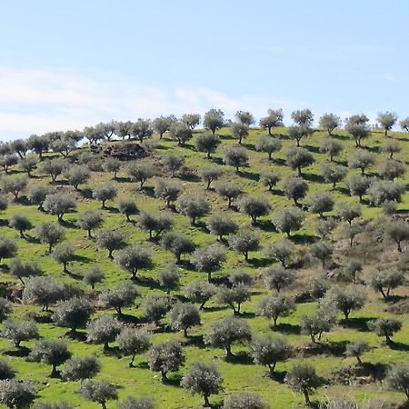 הוילה Avantos Agroturismo Casal De Castro מראה חיצוני תמונה