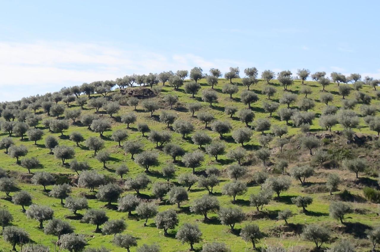 Avantos Agroturismo Casal De Castro מראה חיצוני תמונה