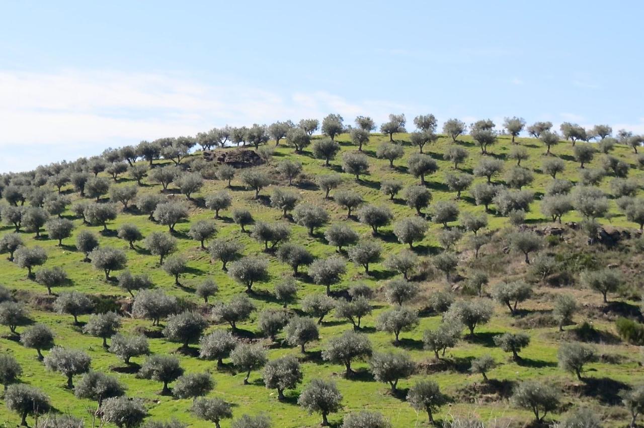 הוילה Avantos Agroturismo Casal De Castro מראה חיצוני תמונה